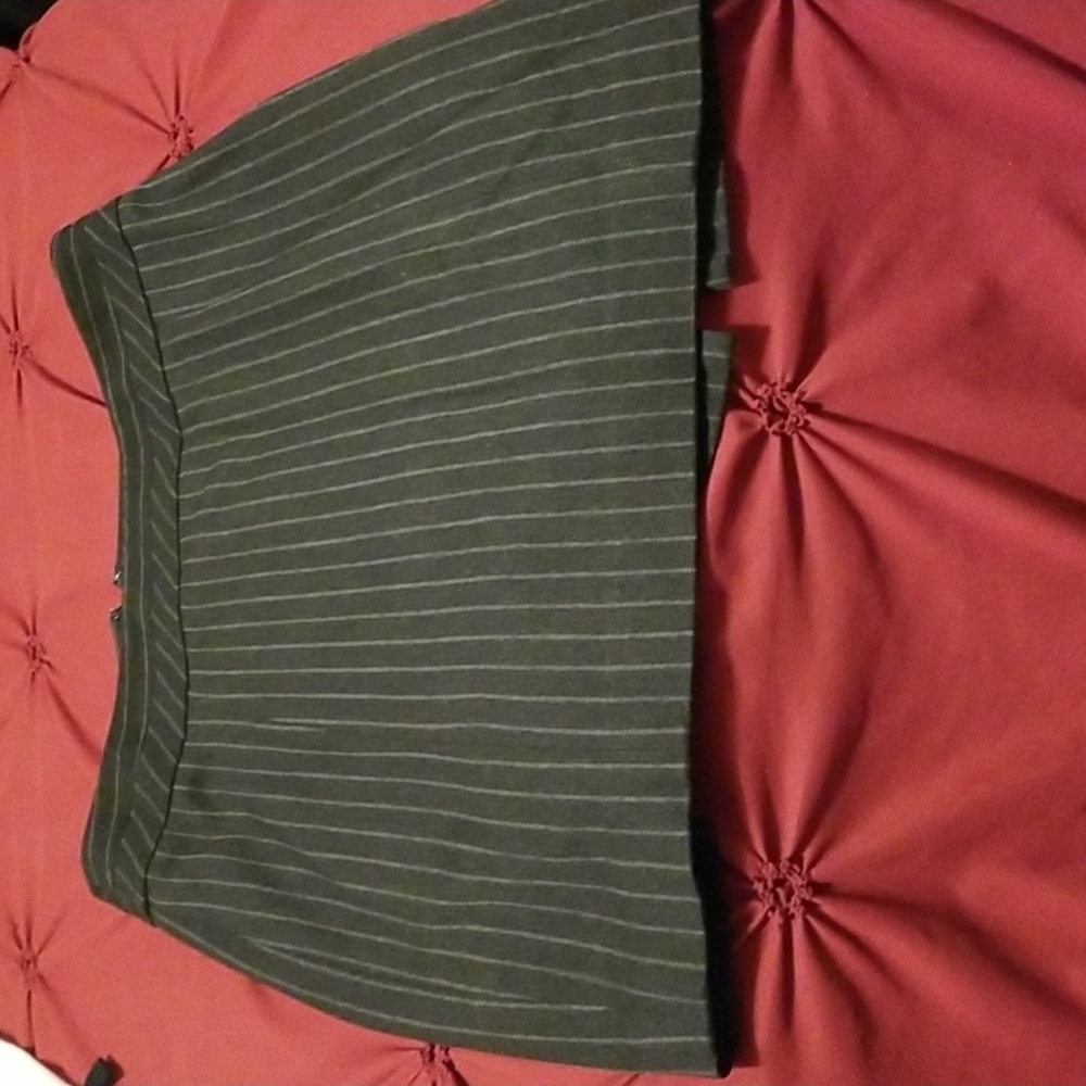 Express lined skirt
